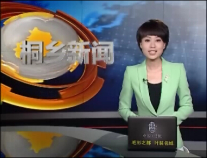 桐乡电视台海得新能源1.15MW分布式光伏发电项目专访